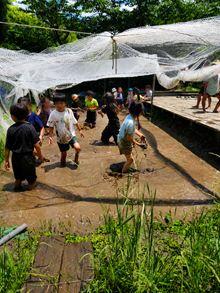 20260603-4.jpg