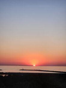 20260608-1.jpg