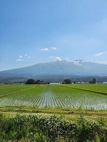 20260608-4.jpg