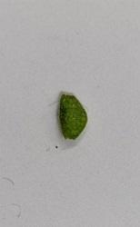 20221028-5.jpg