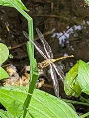 20230630-1.jpg