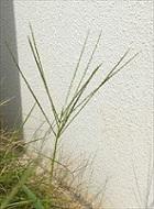20230908-2s.jpg