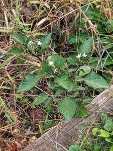 20231215-1s.jpg