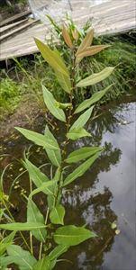 20240531-1s.jpg