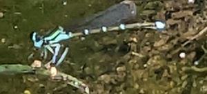 20240614-1s.jpg