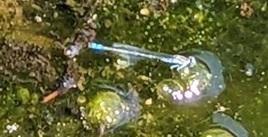 20240614-2s.jpg