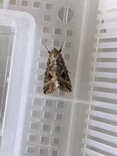 20240621-6s.jpg