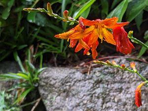 20240719-3s.jpg