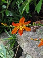 20240719-4s.jpg