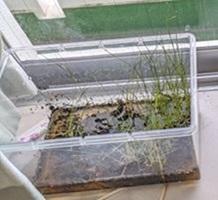 20240726-08.jpg