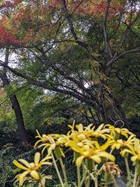 20241129-2s.jpg