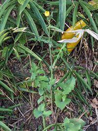 20241129-3s.jpg