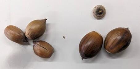 20250124-4s.jpg