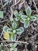 20250221-1s.jpg