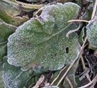 20250221-2s.jpg