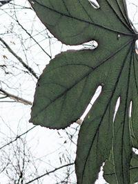 20250307-3s.jpg