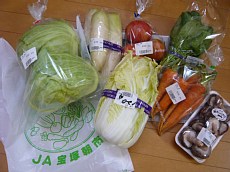 西谷野菜 018-1.jpg