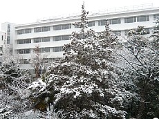 23.2.11雪景色 031-1.jpg