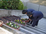 DSC02387.jpg