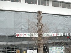 H22.2.9樹木 008-1.jpg