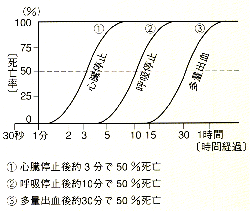 graph.gif