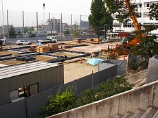 PICT1595-1.jpg