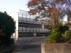 PICT1648.jpg