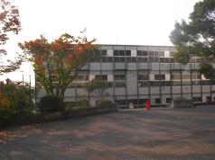 PICT1650.jpg