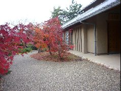 変換 ～ P1010920.jpg