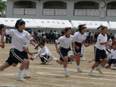 taikutaikai5.gif