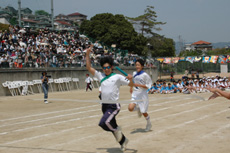 DSC_1924b.JPG
