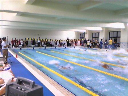 KGswimmersmeet.jpg