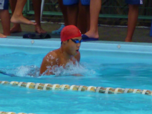 P1000287.jpg