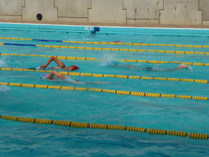 P1000514.jpg