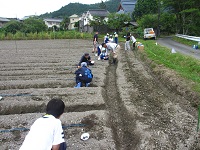 sasayama061203.jpg