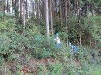 sasayama201503.jpg