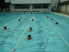 swim1.JPG