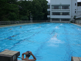 swim5.JPG