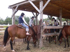 乗馬１.jpg