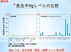 ppt08.jpg