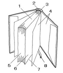 %E6%9C%AC%E3%81%AE%E5%90%8D%E7%A7%B0%EF%BC%91%EF%BD%9E%EF%BC%98.jpg