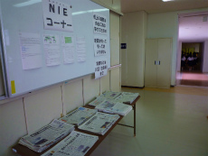 npaper2.jpg