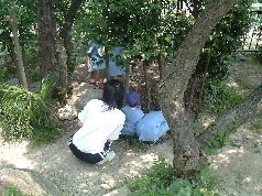 DSCF0333.JPG