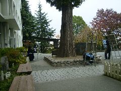 変換 ～ 20071116_0008.jpg