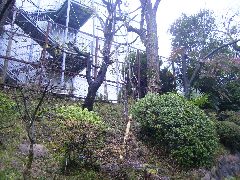 変換 ～ 20100316_0010.jpg
