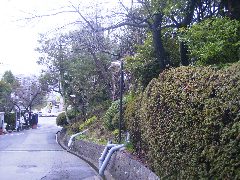 変換 ～ 20100316_0015.jpg