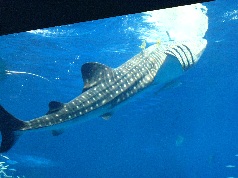 IMG_0283.jpg