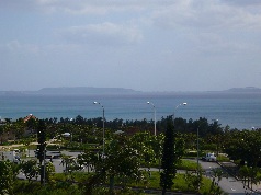 P1000025.jpg