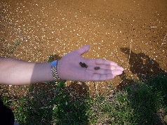 P1000060.jpg