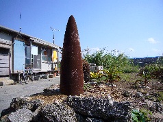 P1000063.jpg